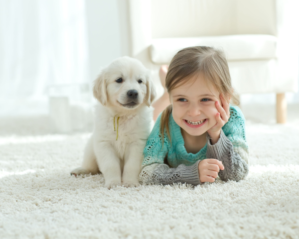 Cute dog with Little Girl on White Carpet Pet Treatment Prior Lake, MN.