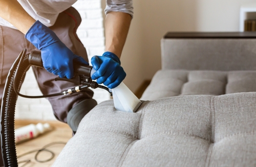 Man cleaning upholstery in protective rubber gloves carpet cleaning Prior Lake, MN.